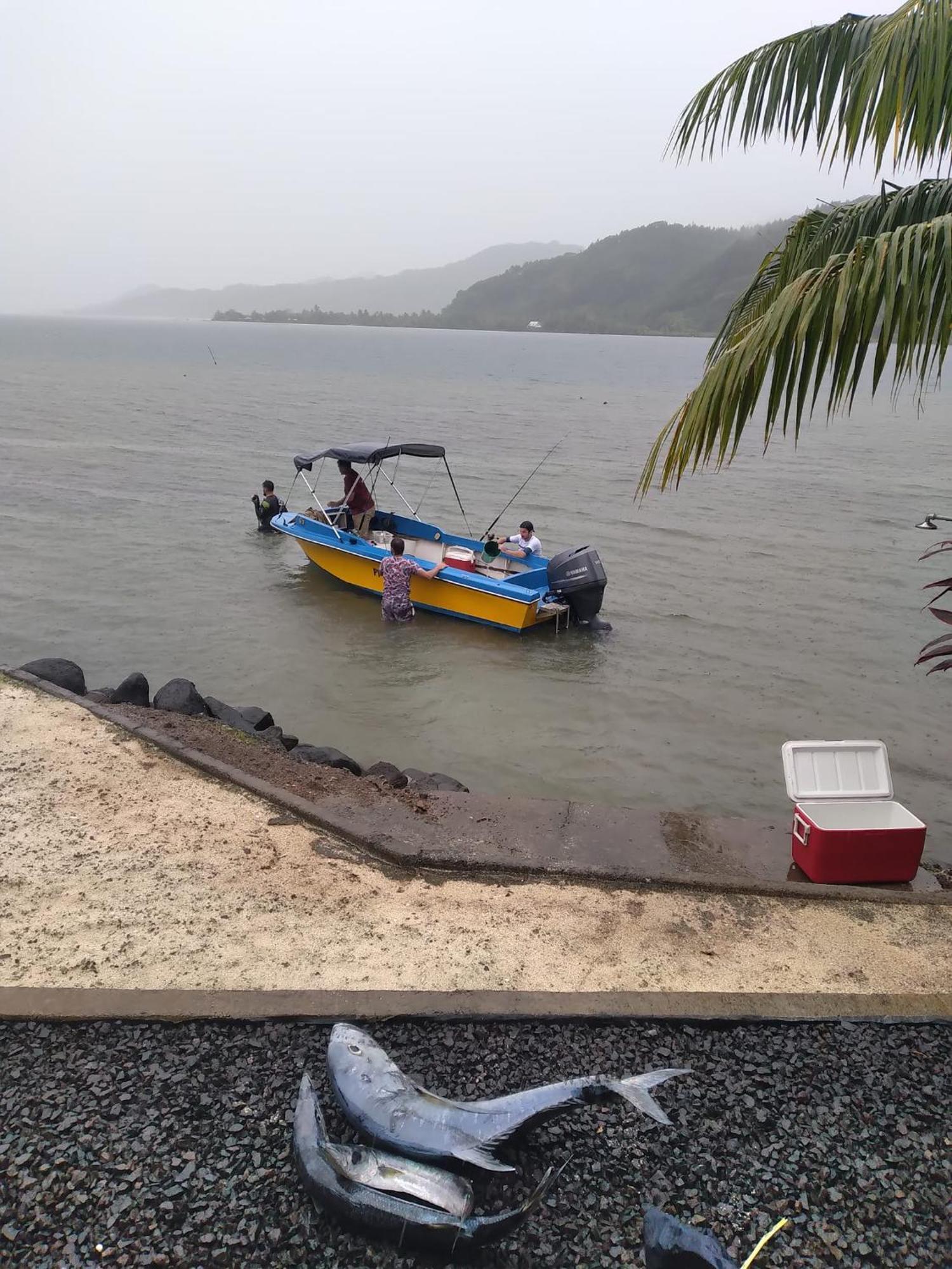 Villa De La Baie Raiatea Uturoa Buitenkant foto